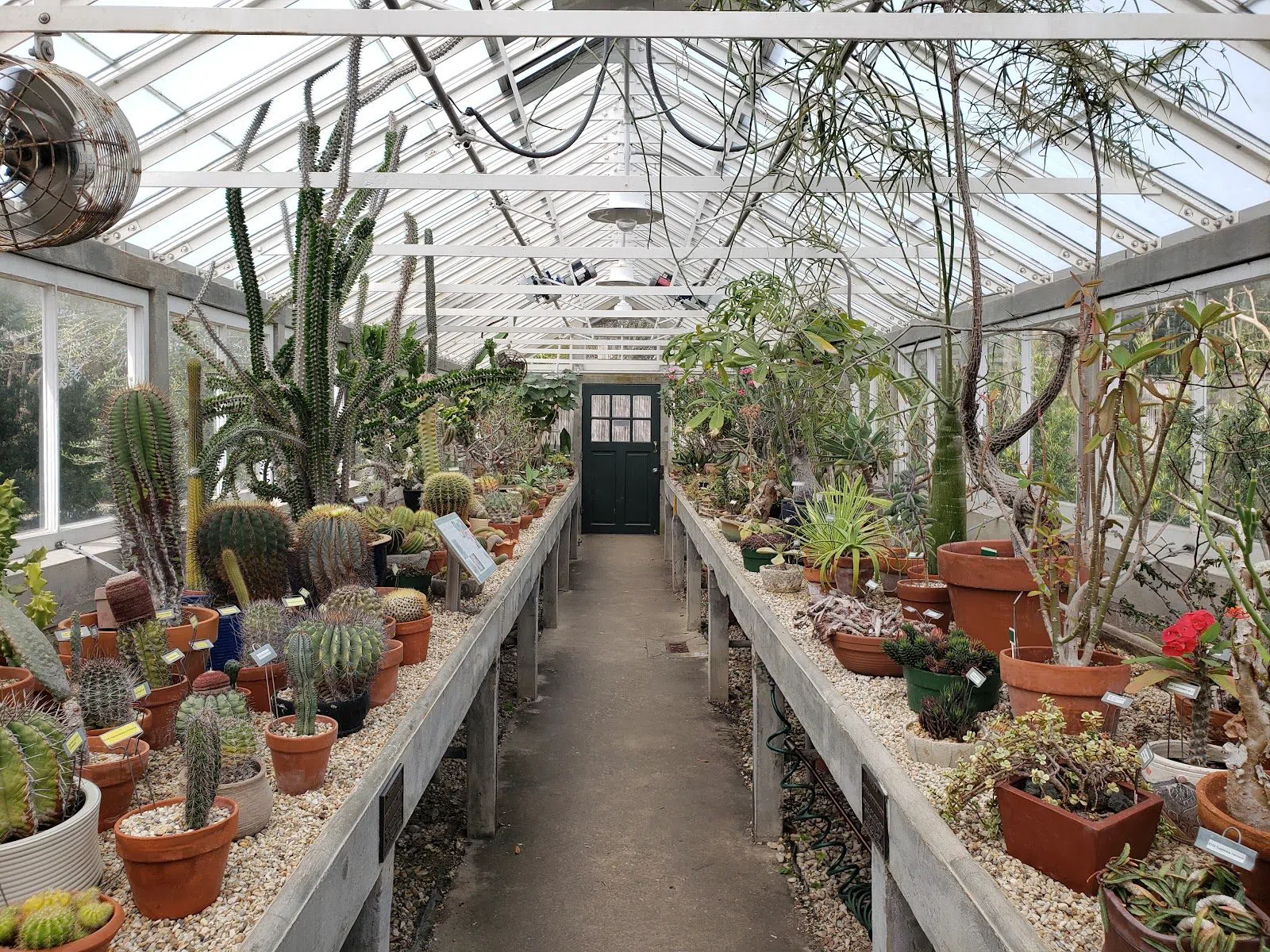 New Orleans Botanical Garden, New Orleans
