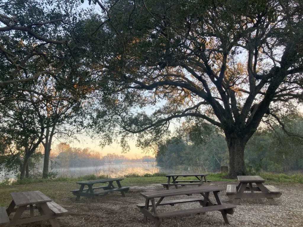 Couturie Forest & Scout Island, New Orleans