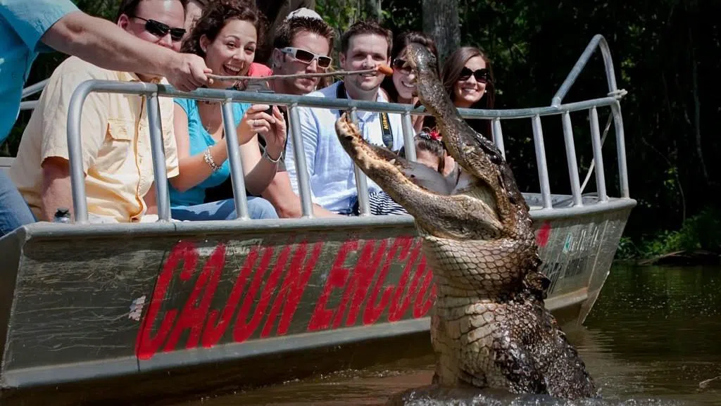 Cajun Encounters Tour Company, New Orleans