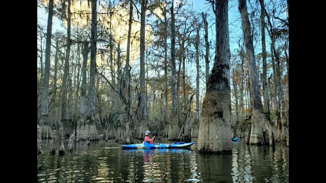 Honey Island Kayak Tours, New Orleans