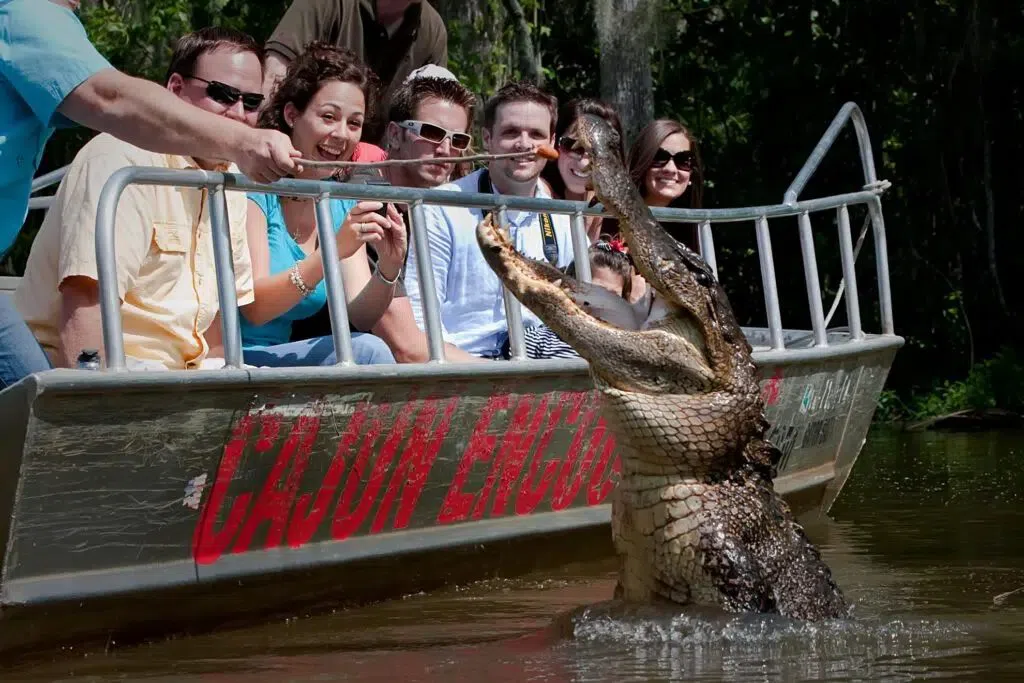 Cajun Encounters Tour Company, New Orleans