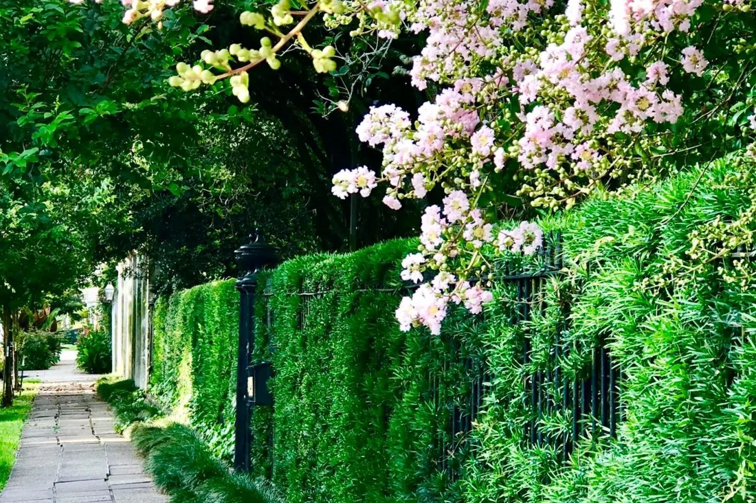 Two Chicks Walking Tours – Garden District, New Orleans