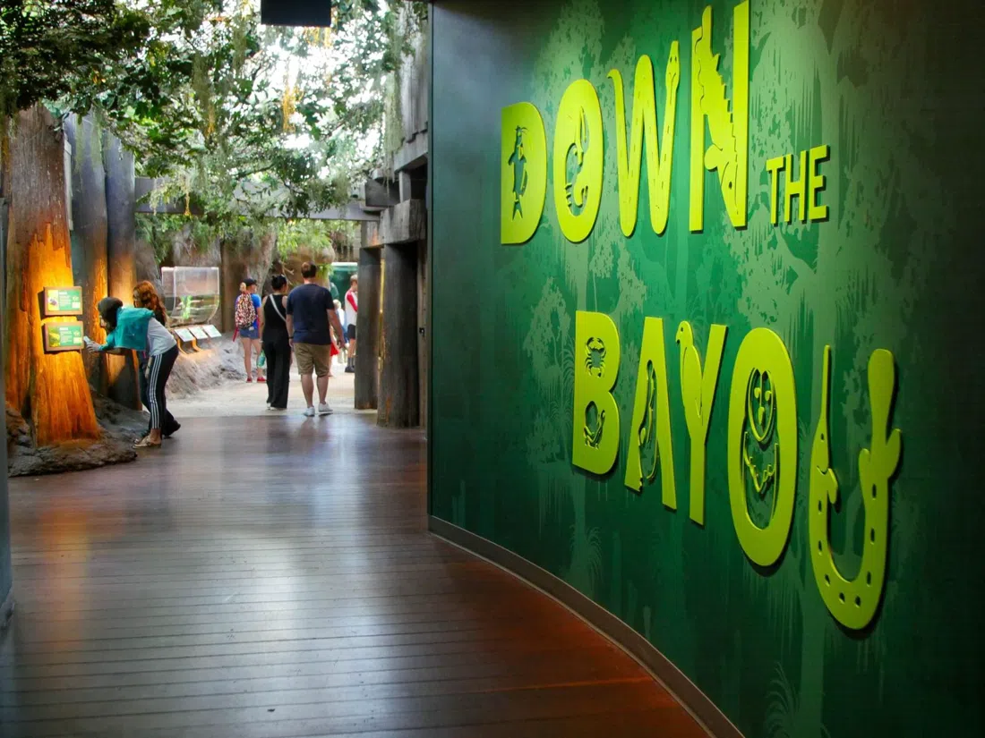 Audubon Aquarium of the Americas, New Orleans