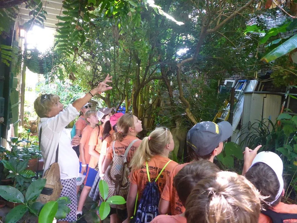 NOLA Tours, New Orleans