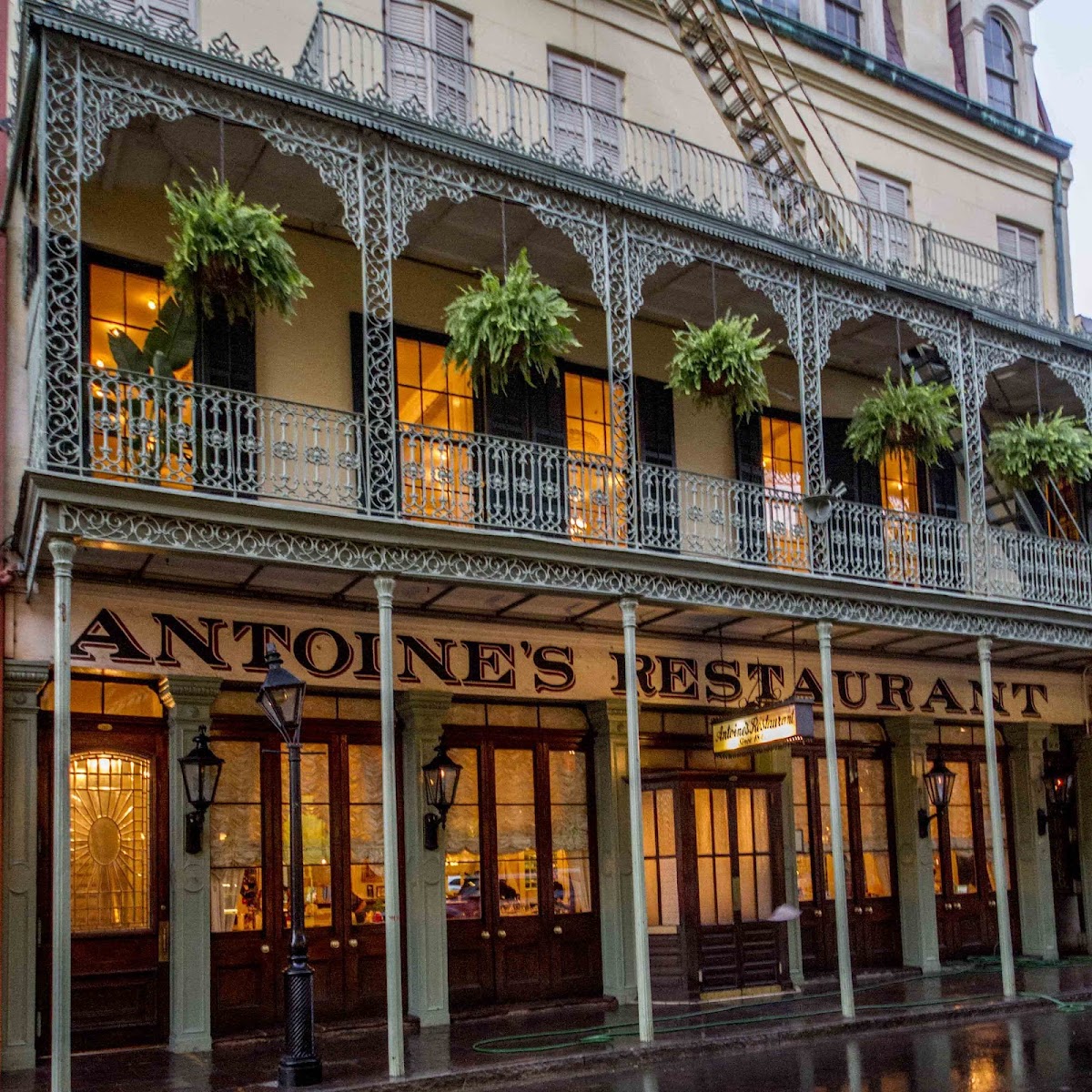 Antoine's — photo 4